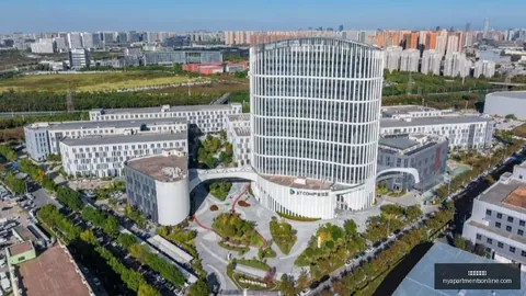 绍兴文旅澄清：葫芦娃爷爷剪影，还原安宁时光